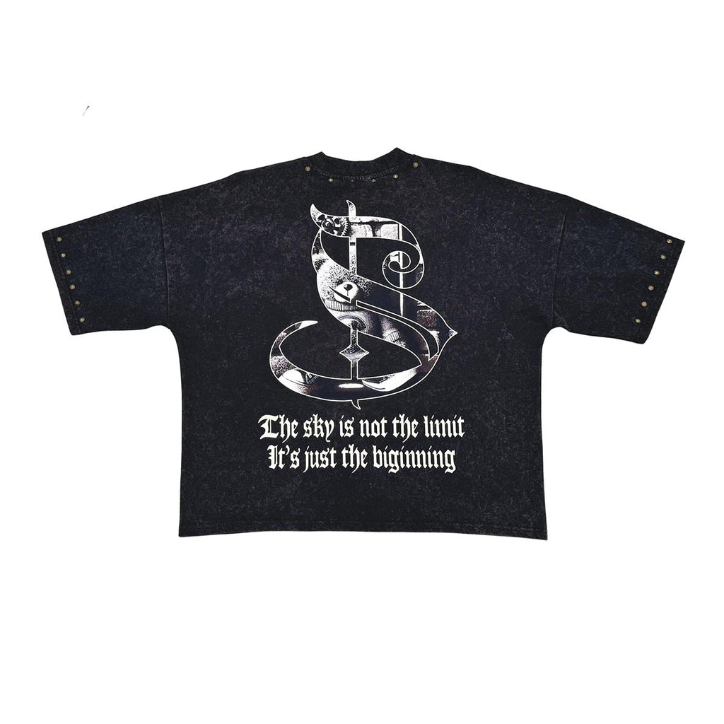 Stray dream big wide & crop fit tee