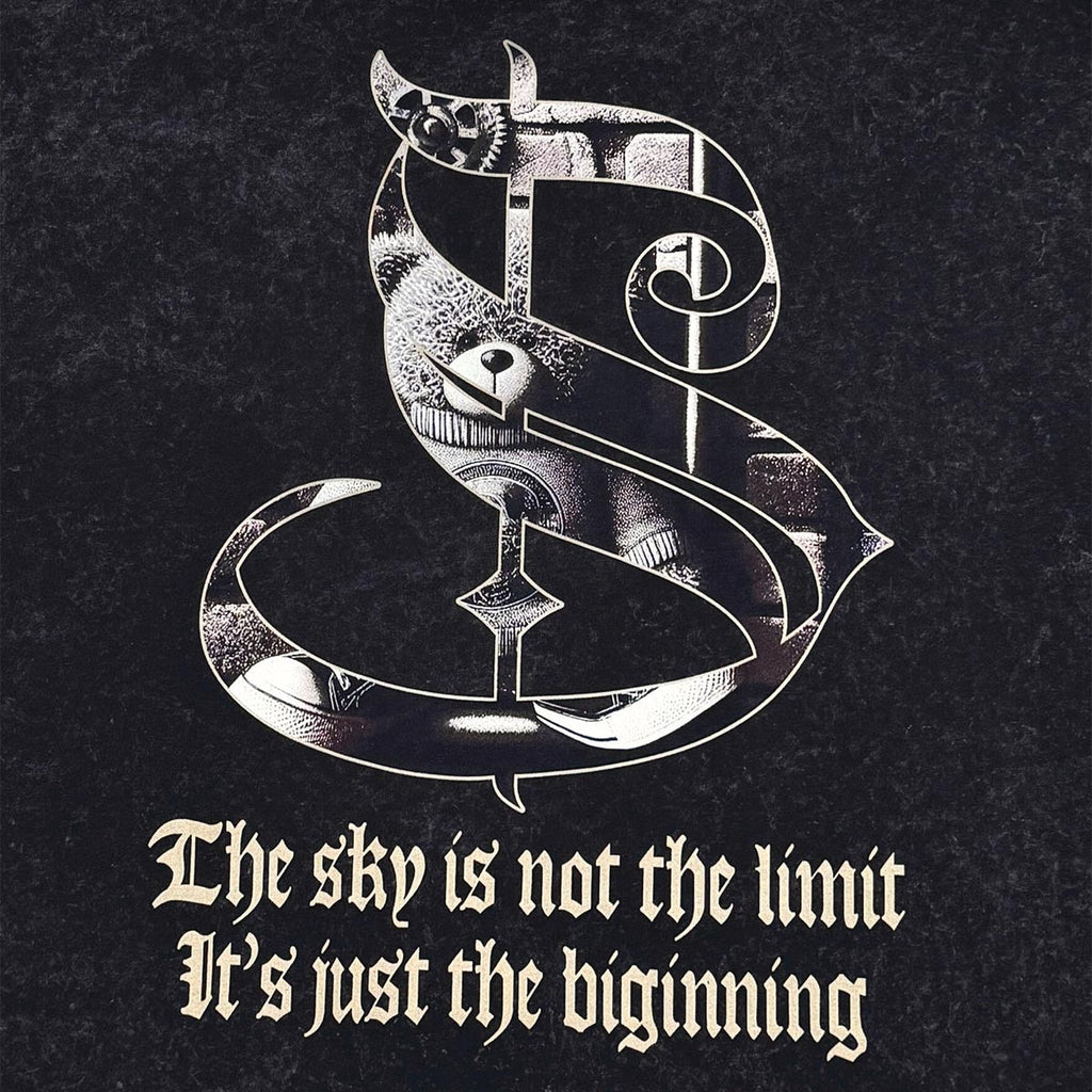 Stray dream big wide & crop fit tee