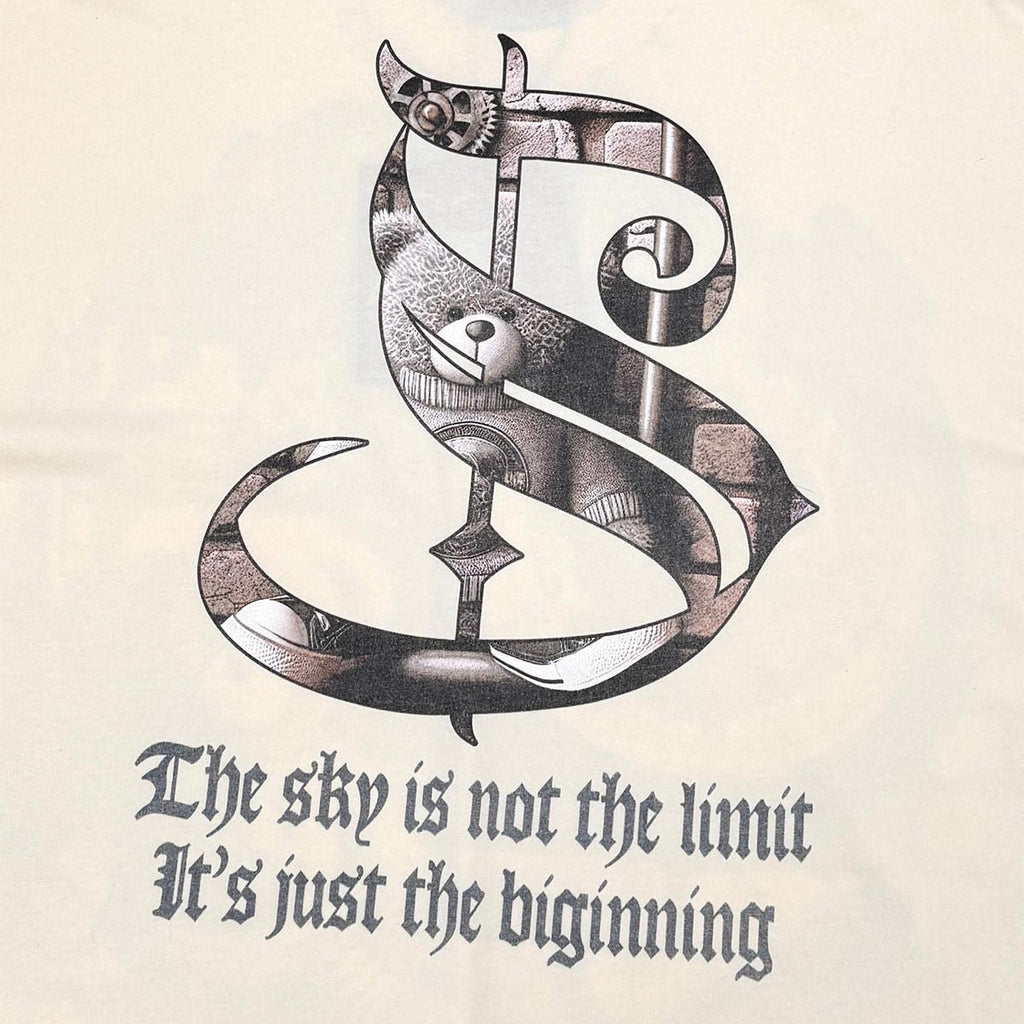 Stray dream big wide & crop fit tee