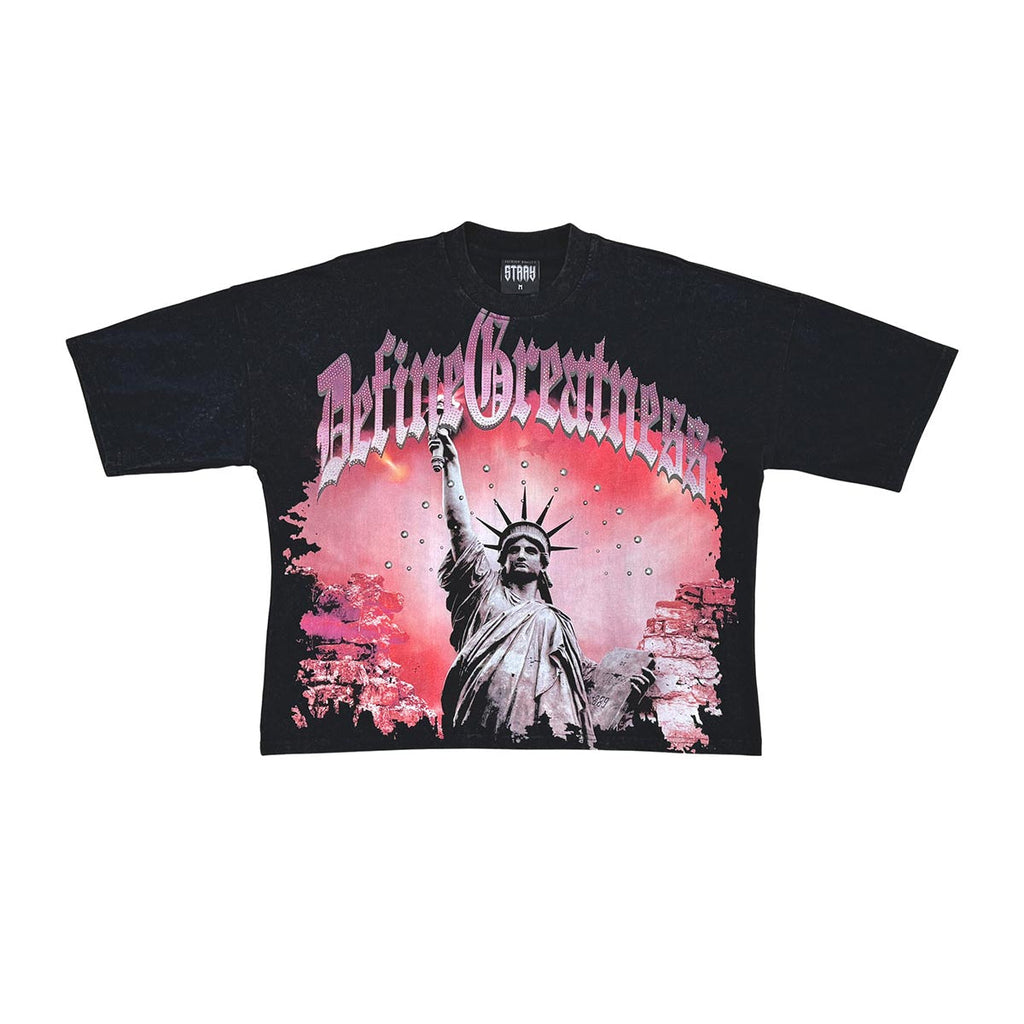 Stray define greatness wide & crop fit tee
