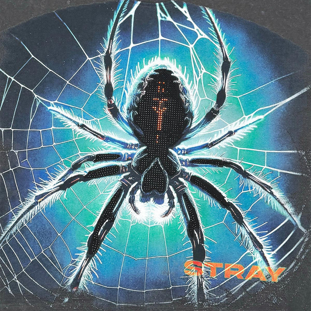Stray spider wide & crop fit tee
