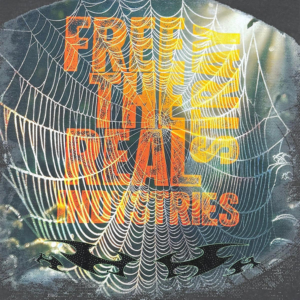 Stray spider wide & crop fit tee