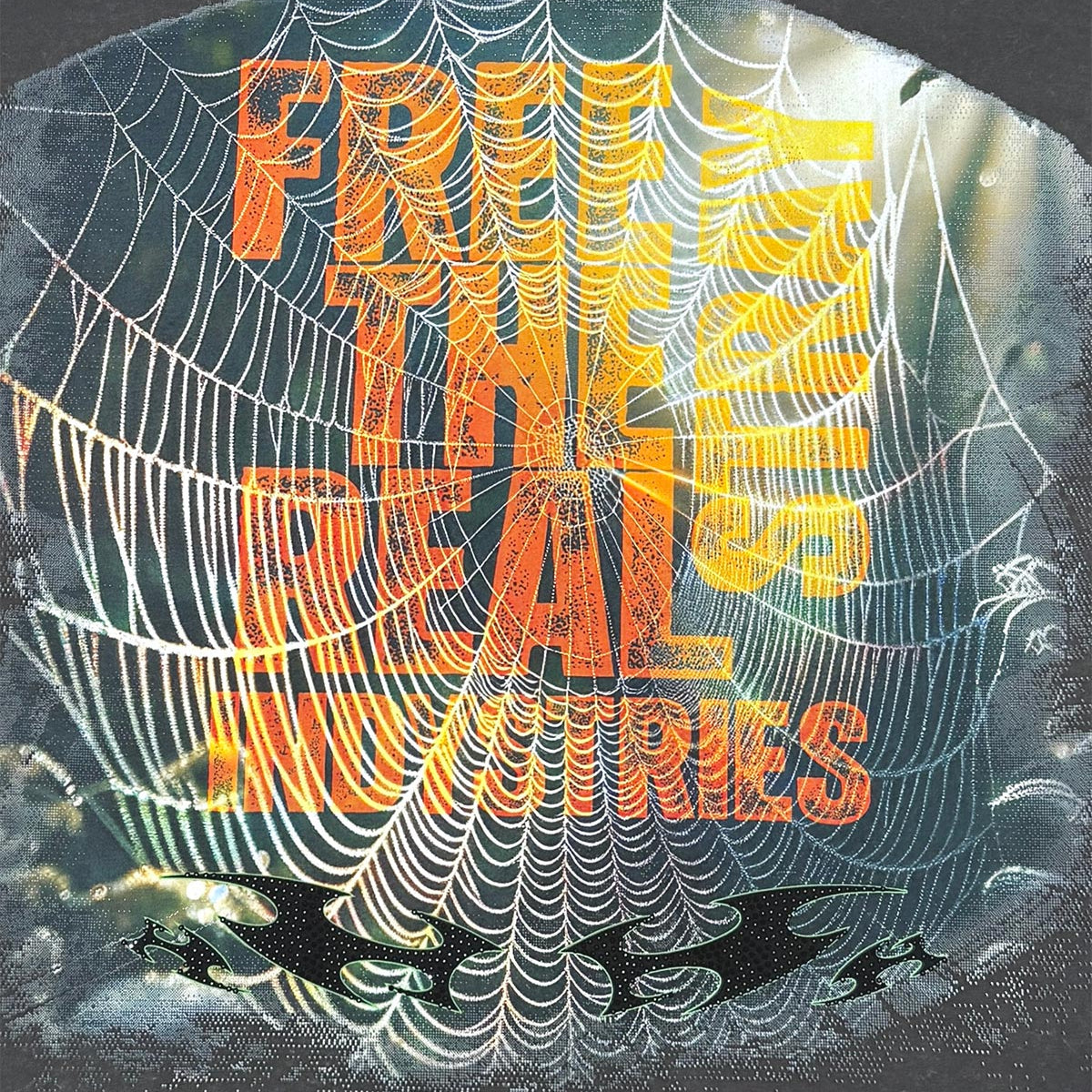 Stray spider wide & crop fit tee