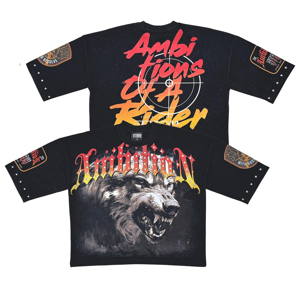 Stray ambitions 3/4 sleeve tee