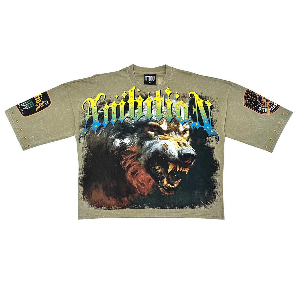 Stray ambitions 3/4 sleeve tee