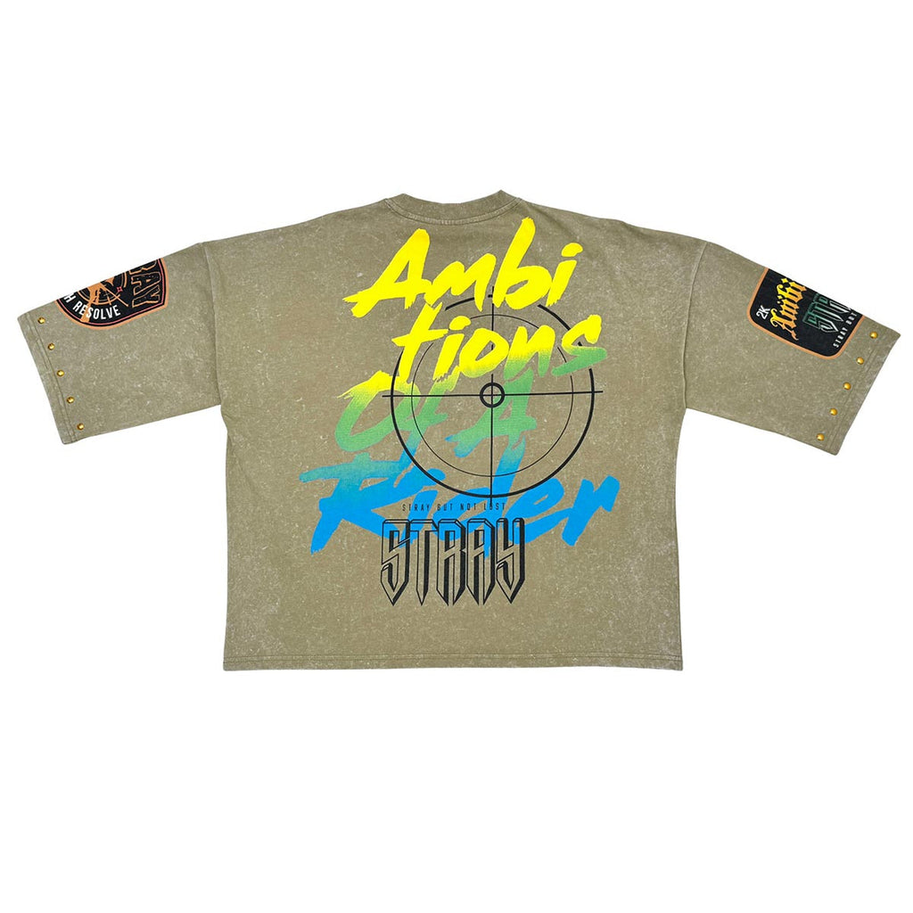 Stray ambitions 3/4 sleeve tee