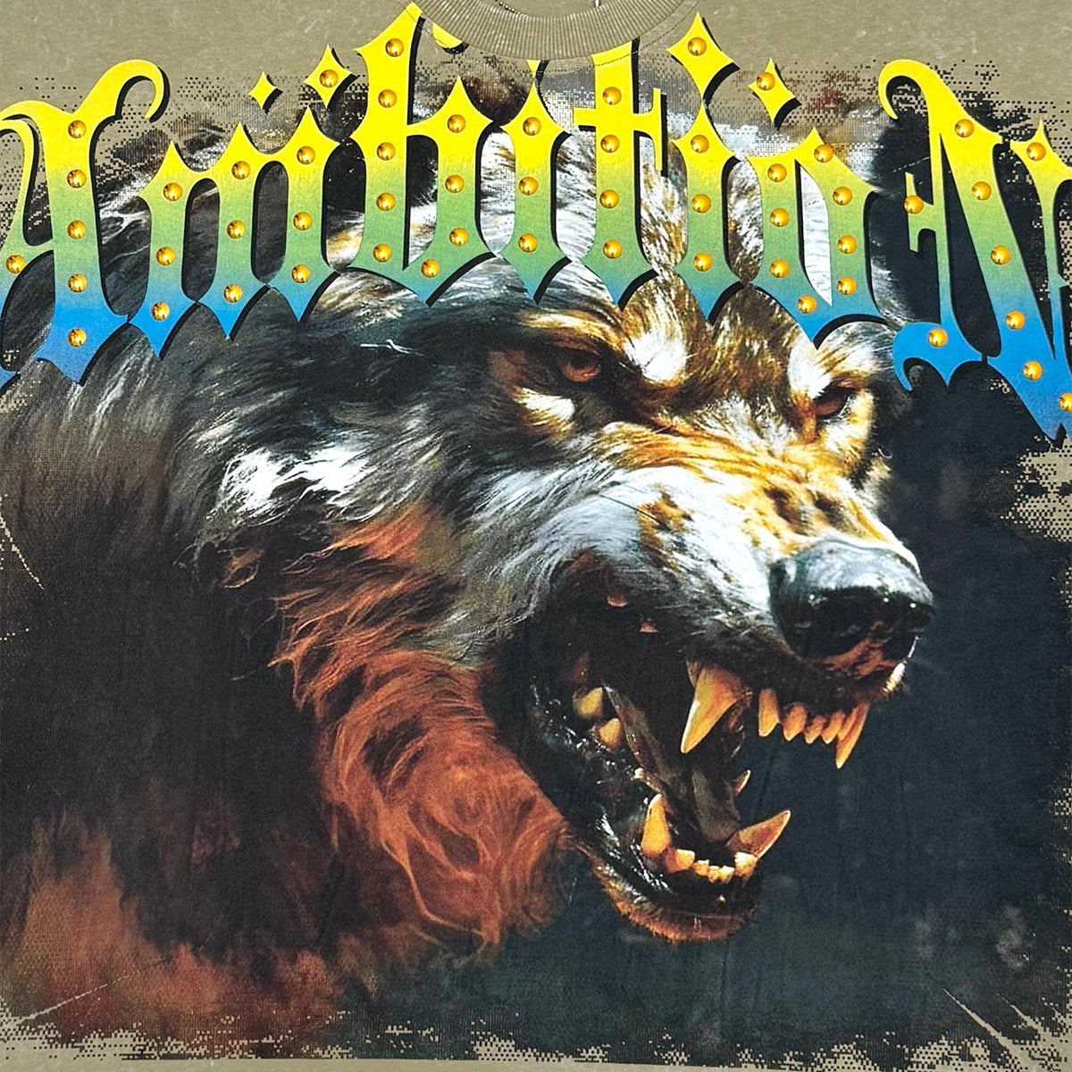 Stray ambitions 3/4 sleeve tee