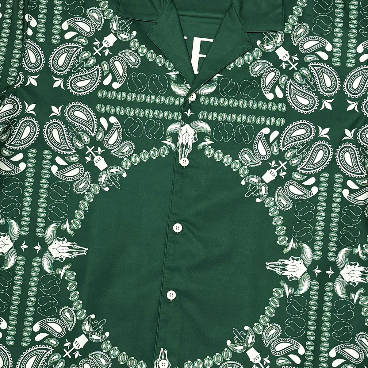 Paisley reversible woven