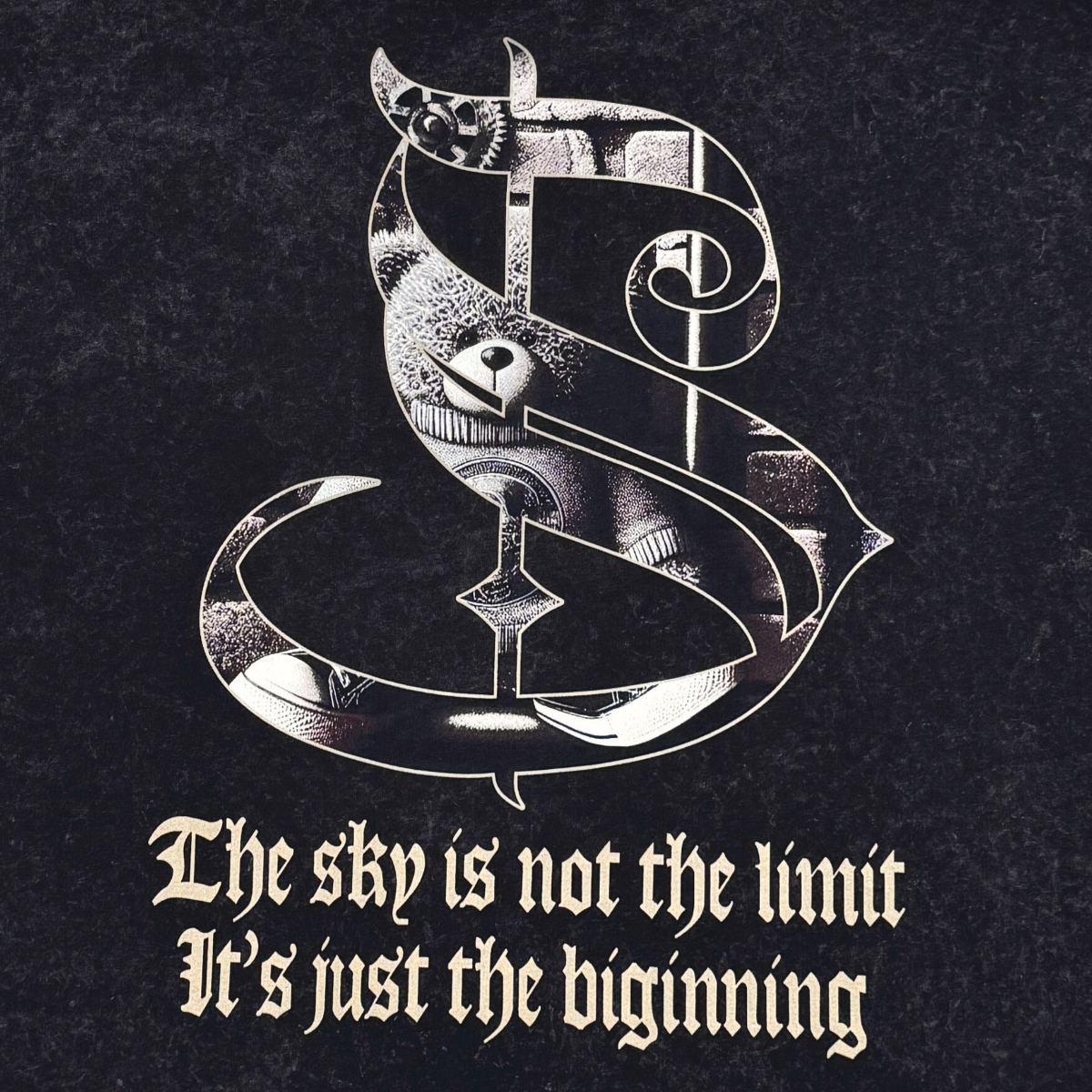 Stray dream big wide & crop fit tee