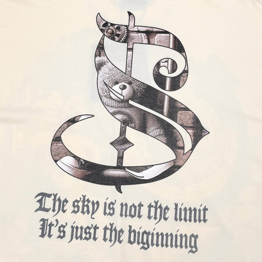 Stray dream big wide & crop fit tee