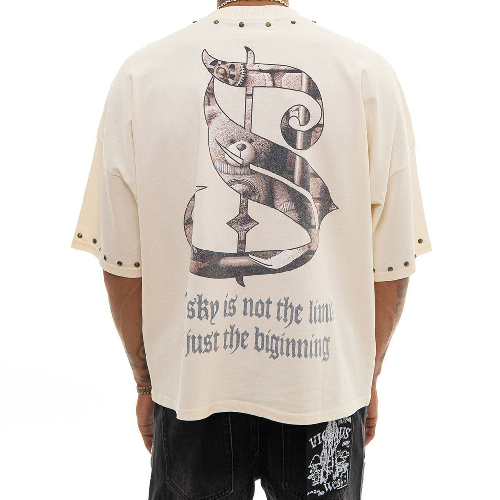 Stray dream big wide & crop fit tee