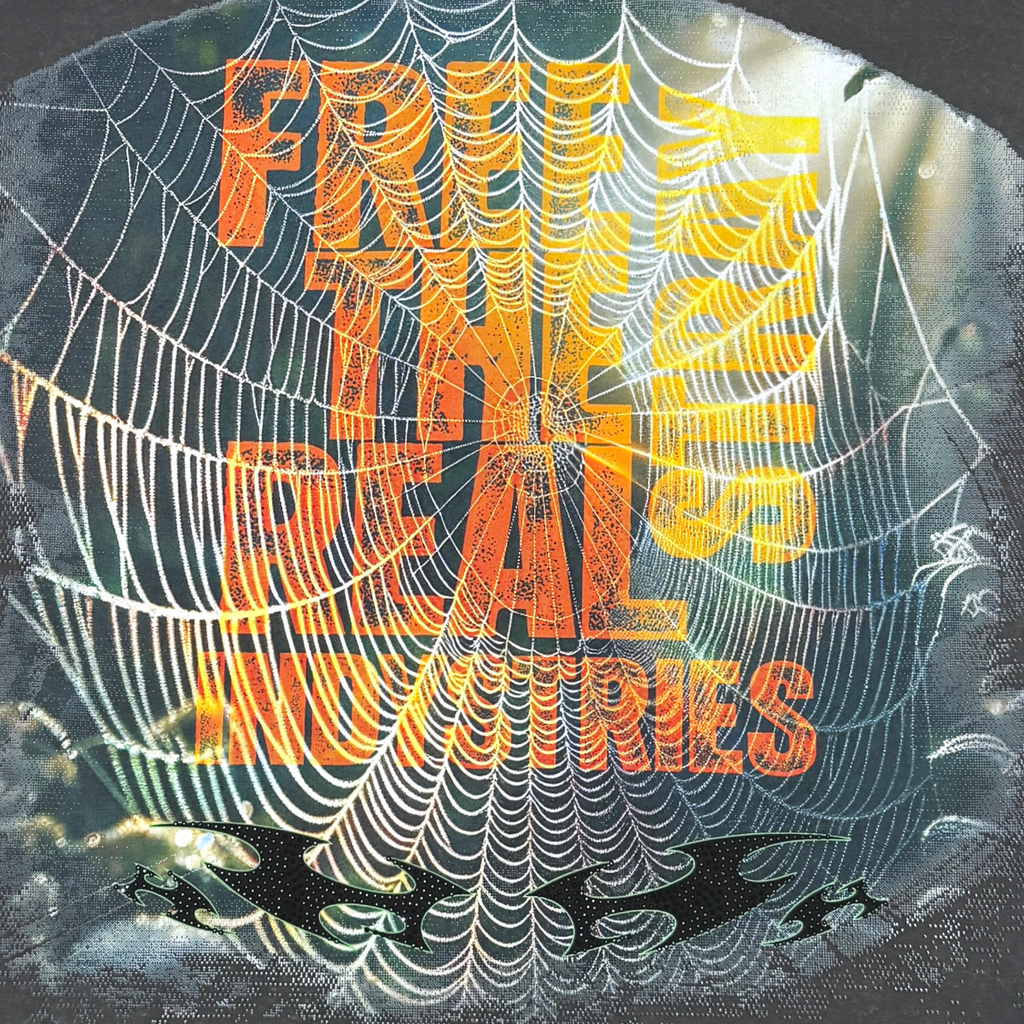 Stray spider wide & crop fit tee