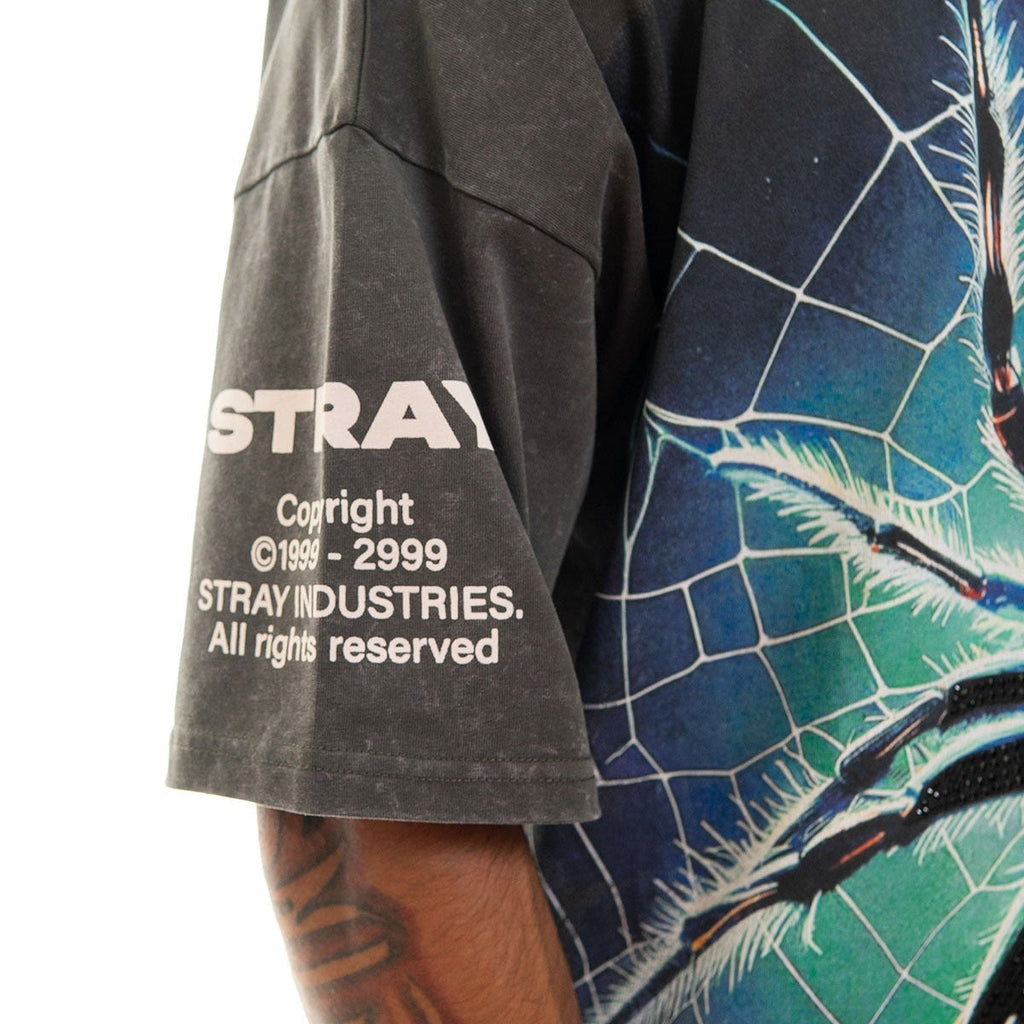 Stray spider wide & crop fit tee