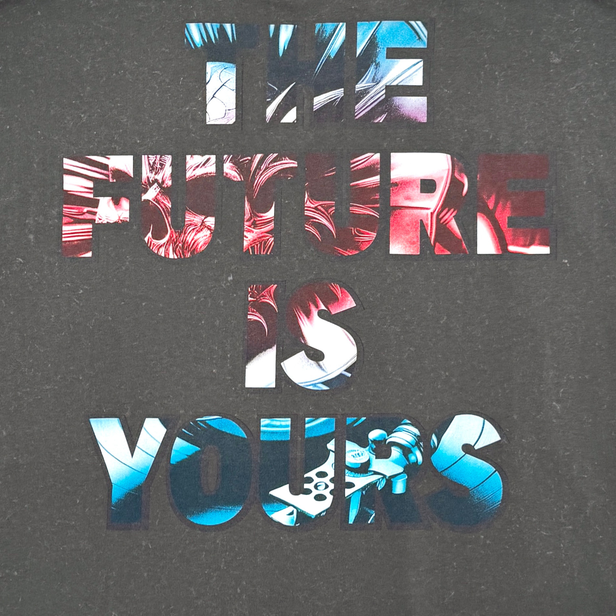 Stray the future is yours wide & crop fit tee