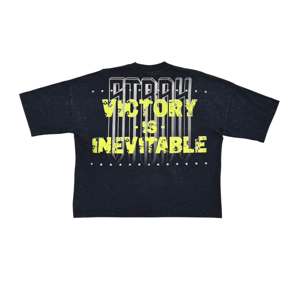 Stray claim victory wide & crop fit tee