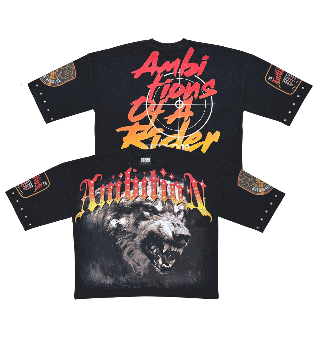 Stray ambitions 3/4 sleeve tee