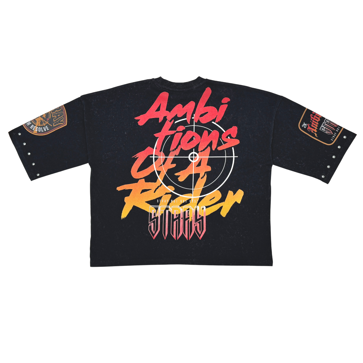 Stray ambitions 3/4 sleeve tee