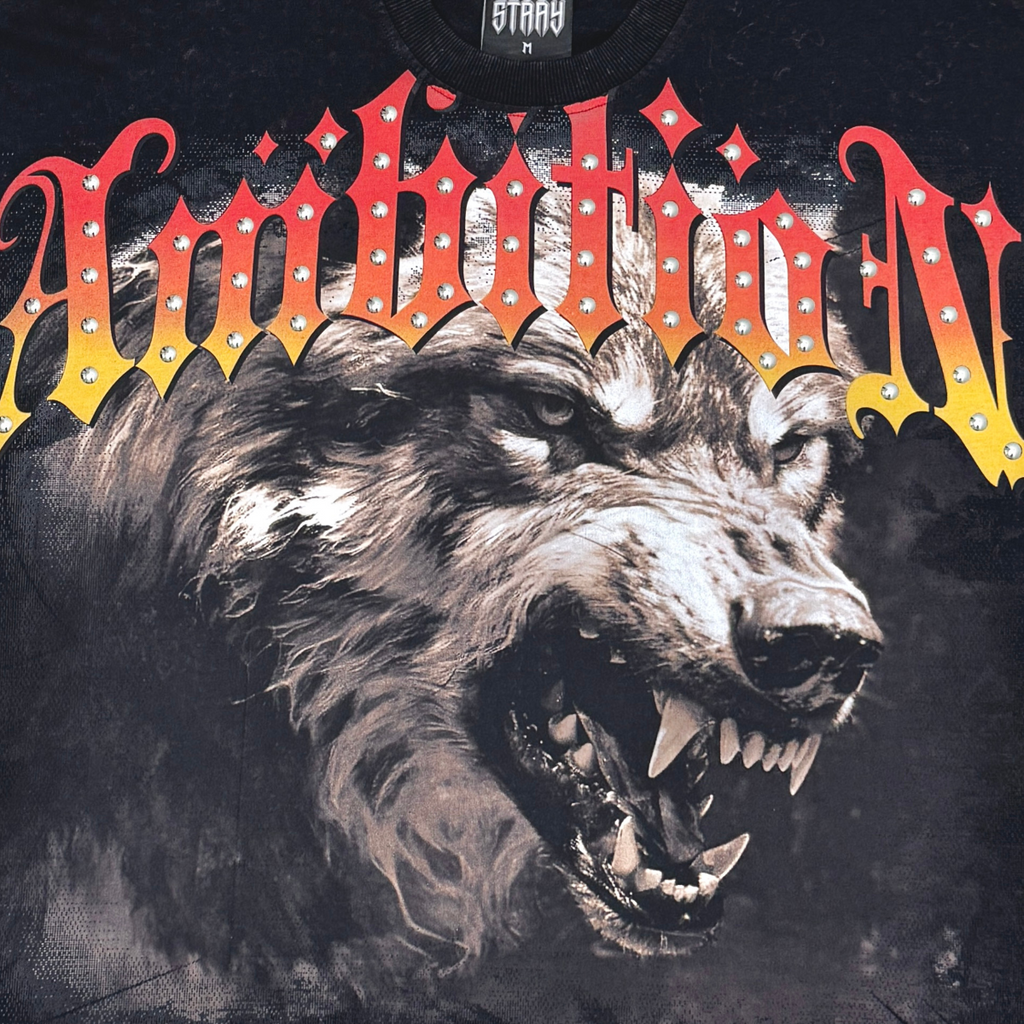 Stray ambitions 3/4 sleeve tee