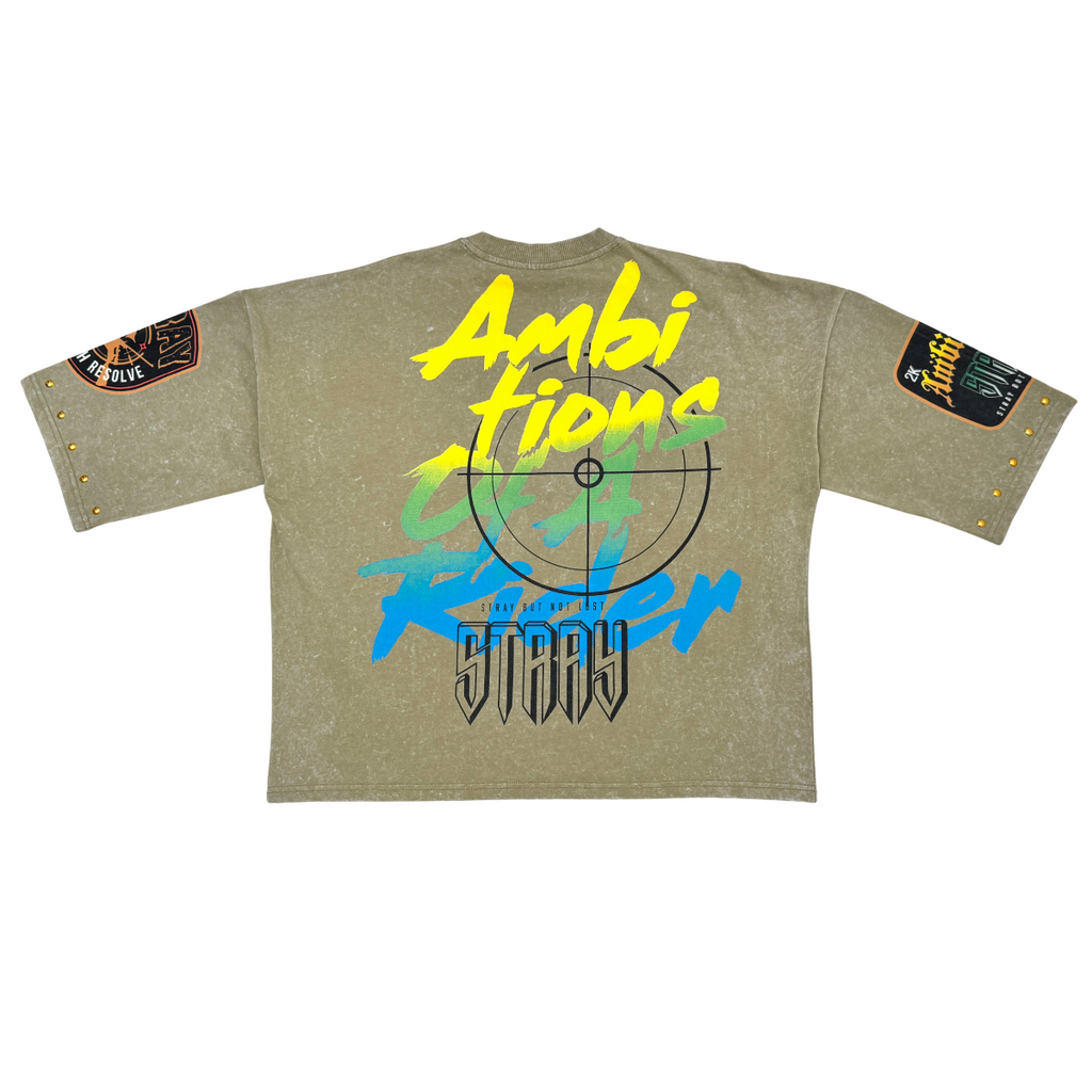 Stray ambitions 3/4 sleeve tee